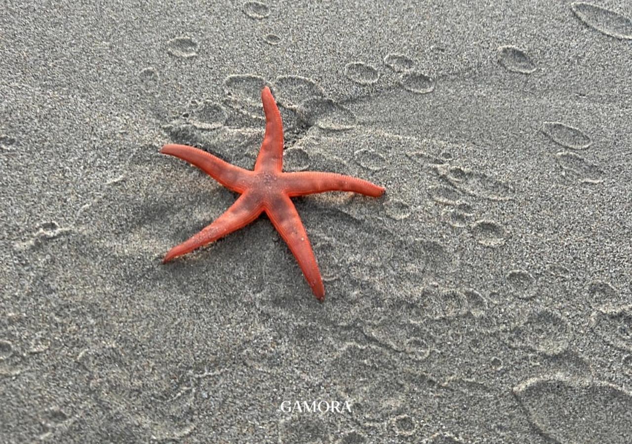 Gamora Hotel Playa Los Órganos 外观 照片